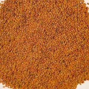 METHI DANA|TRIGONELLA FOENUM-GRAECUM